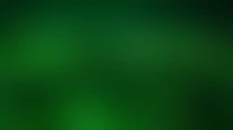 المحبة تسبق المناصرة