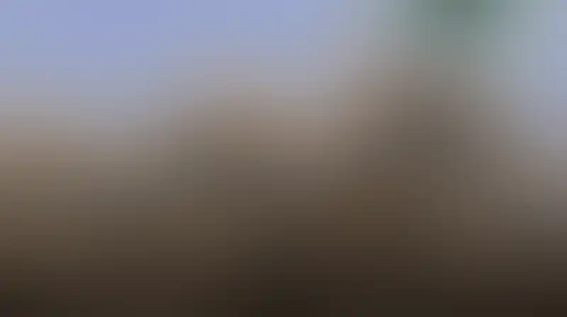 تعاون سري بين السعودية وكيان العدو لمواجهة القوات اليمنية