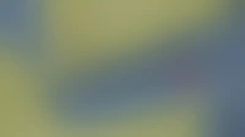هزة أرضية بقوة 4.2 درجة على مقياس ريختر شرق خليج عدن