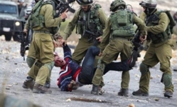  العدو الصهيوني يعتدي على فلسطيني بالضرب ويحتجز آخرين في مدينة جنين