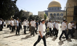 عشرات المستوطنين يجددون اقتحام الأقصى وسط قيود مشددة