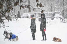 عاصفة موسكو الثلجية تاريخية تحطم أرقاما قياسية عمرها 56 عاما