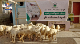 مؤسسة الشهداء تدشن توزيع الأضاحي على أسر الشهداء الأكثر فقرا في حجة 