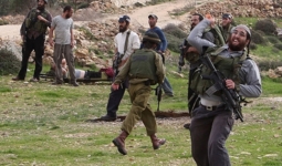 مستوطن يطارد بمركبته شقيقين فلسطينيين ويحاول دعسهما  جنوب الخليل