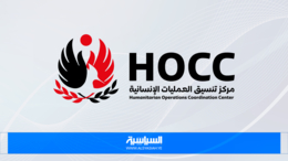 مركز تنسيق العمليات الإنسانية: عبور السفن عبر مضيق باب المندب مجاني