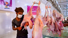 توزيع الأضاحي على أكثر من 14 ألفاً و900 من الفقراء والمرضى بالحديدة