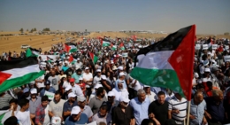 الأزهر الشريف: صمود الشعب الفلسطيني ومقاومته للعدو سيسطره التاريخ