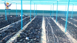 وزير الزراعة ومحافظ الجوف يفتتحان مشاريع زراعية بمليارين و350 مليون ريال