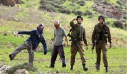 بحماية قوات العدو:مستوطنون يهاجمون مركبات الفلسطينيين شمال رام الله