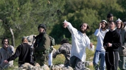 مستوطنون يهاجمون مواطنين فلسطينيين جنوب الخليل