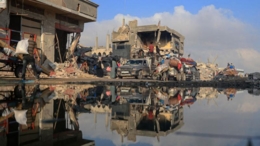 القوارض والحشرات في قطاع غزة... تهديدٌ حقيقيٌ بكارثة صحية وبيئية للسكان