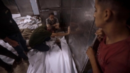 استشهاد وجرح عدة فلسطينيين في قصف العدو الصهيوني أنحاء متفرقة في قطاع غزة