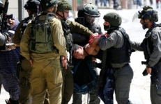 العدو الإسرائيلي يعتقل 22 فلسطينيا على الأقل من الضّفة