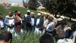 وزير الزراعة يدشن الموسم الربيعي بقاع البون الزراعي بعمران