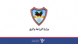وزارة الزراعة تمنع استيراد الدواجن المجمدة