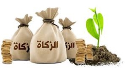 دراسات اقتصادية : للزكاة تأثير على الاستثمارات ونمو العملية الإنتاجية