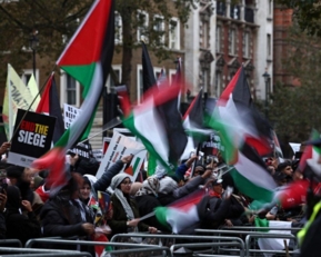 مسيرة أمام الأمم المتحدة مطالبة بوقف "الابادة الجماعية" في قطاع غزة