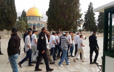 1059 مستوطنًا يقتحمون المسجد الأقصى خلال أسبوع