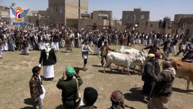 عمران .. صلح قبلي ينهي قضية قتل بين آل الرجوي وآل نجاد