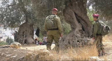 العدو الصهيوني ومستوطنيه يواصلون إعتداءاتهم بحق الفلسطينيين في الضفة العدو الصهيوني ومستوطنيه يواصلون إعتداءاتهم بحق الفلسطينيين في الضفة