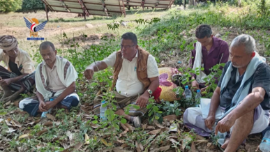 يوم حقلي لمزارعي الذرة الشامية والسمسم في بيت الفقيه بالحديدة 