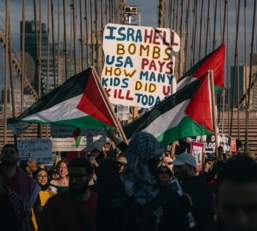 مظاهرات حاشدة في الولايات المتحدة في الذكرى الـ77 النكبة