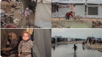 "يونيسف" تدعو لاحترام وقف اطلاق النار والسماح بدخول المزيد من المساعدات الى غزة