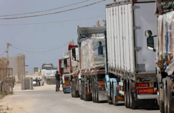 "حكومي غزة”: العدو الإسرائيلي لم يسمح خلال 50 يوماً إلا بدخول 4,543 شاحنة مساعدات من أصل 30,000