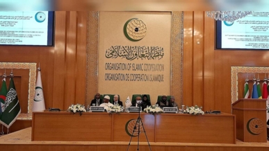 منظمة التعاون الإسلامي تتبنى الخطة العربية لإعمار غزة