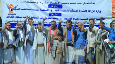 تدشين مشروع إكثار بذور فول الصويا في مديرية باجل بالحديدة تدشين مشروع إكثار بذور فول الصويا في مديرية باجل بالحديدة