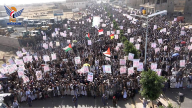 عمران.. 77 مسيرة حاشدة تحت شعار "مع غزة.. لمواجهة جريمة الإبادة والتجويع"