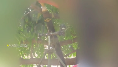 سرايا القدس تقصف تجمعاً لجنود وآليات العدو الصهيوني غرب مخيم الشاطئ بغزة