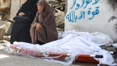 استشهاد 50 فلسطينياً بنيران جيش العدو الإسرائيلي في قطاع غزة منذ فجر اليوم