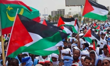 نواكشوط.. مظاهرة أمام سفارة واشنطن للمطالبة بوقف دعم الإبادة في غزة