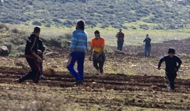 مستوطنون يهاجمون مساكن الفلسطينيين في خربة الحمة بالأغوار الشمالية
