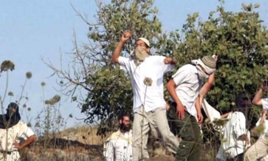 الخارجية الاميركية: واشنطن تفرض عقوبات على مستوطنين وحركة "ليهافا"