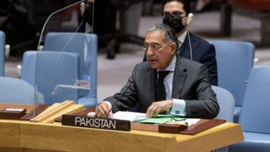 باكستان تحث مجلس الأمن الدولي على ضمان تنفيذ قرار وقف إطلاق النار في قطاع غزة