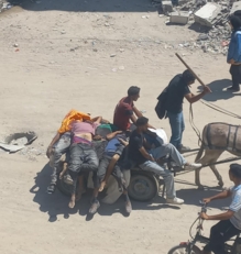 "الأورومتوسطي": ما حدث في شارع الرشيد شمال غزة نمط وحشي للإبادة الجماعية