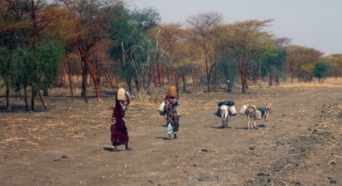 البنك الدولي :39 دولة تعاني أوضاع هشة مع تنامي الصراعات