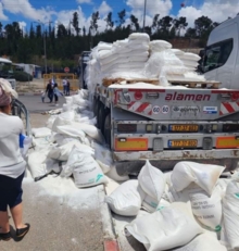 استشهاد 20 فلسطينياً إثر انقلاب شاحنة مساعدات أجبرها العدو سلوك طريق غير آمنة بغزة