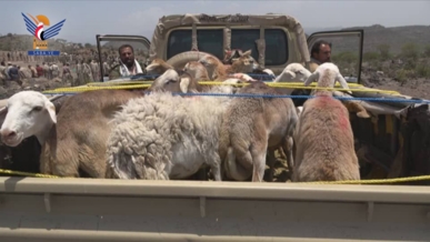 تعز .. زيارات عيدية للمرابطين في الجبهات  