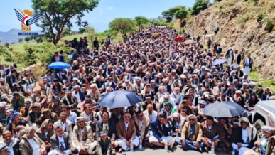 مهرجان بمديرية وصاب العالي إحياءً لذكرى يوم الولاية