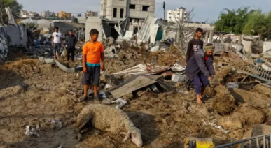 "فاو" تحذر من كارثة إنسانية في غزة وتؤكد أن الحرب دمرت 80% من أراضيها الزراعية