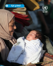 نسيم .. رضيع من غزة لم يعرف في حياته شيئاً غير النزوح