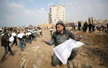 الأمم المتحدة: منظومة الغذاء في غزة تعاني انهيارًا شاملًا