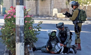 الأمم المتحدة: القوات "الإسرائيلية" قتلت 40 طفلاً فلسطينياً في الضفة منذ بداية 2025 الأمم المتحدة: القوات "الإسرائيلية" قتلت 40 طفلاً فلسطينياً في الضفة منذ بداية 2025