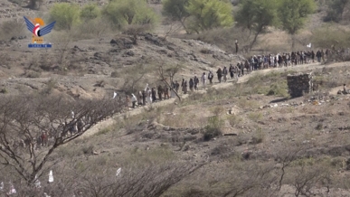 إب.. مسير ومناورة تطبيقية لعزل المربع الغربي بحزم العدين