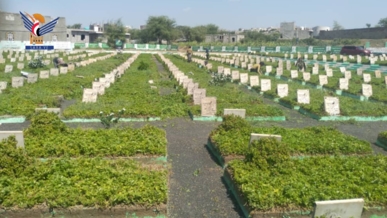 استعدادات واسعة لإحياء الذكرى السنوية للشهيد في محافظة تعز