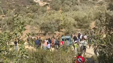"أوتشا”: 126 هجومًا للمستوطنين منذ بدء موسم قطف الزيتون في الضفة الغربية "أوتشا”: 126 هجومًا للمستوطنين منذ بدء موسم قطف الزيتون في الضفة الغربية