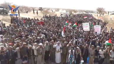 مأرب.. 17 مسيرة وعشرات الوقفات نصرة لغزة